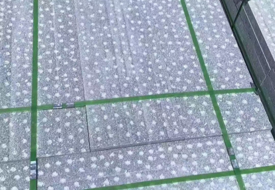 異型